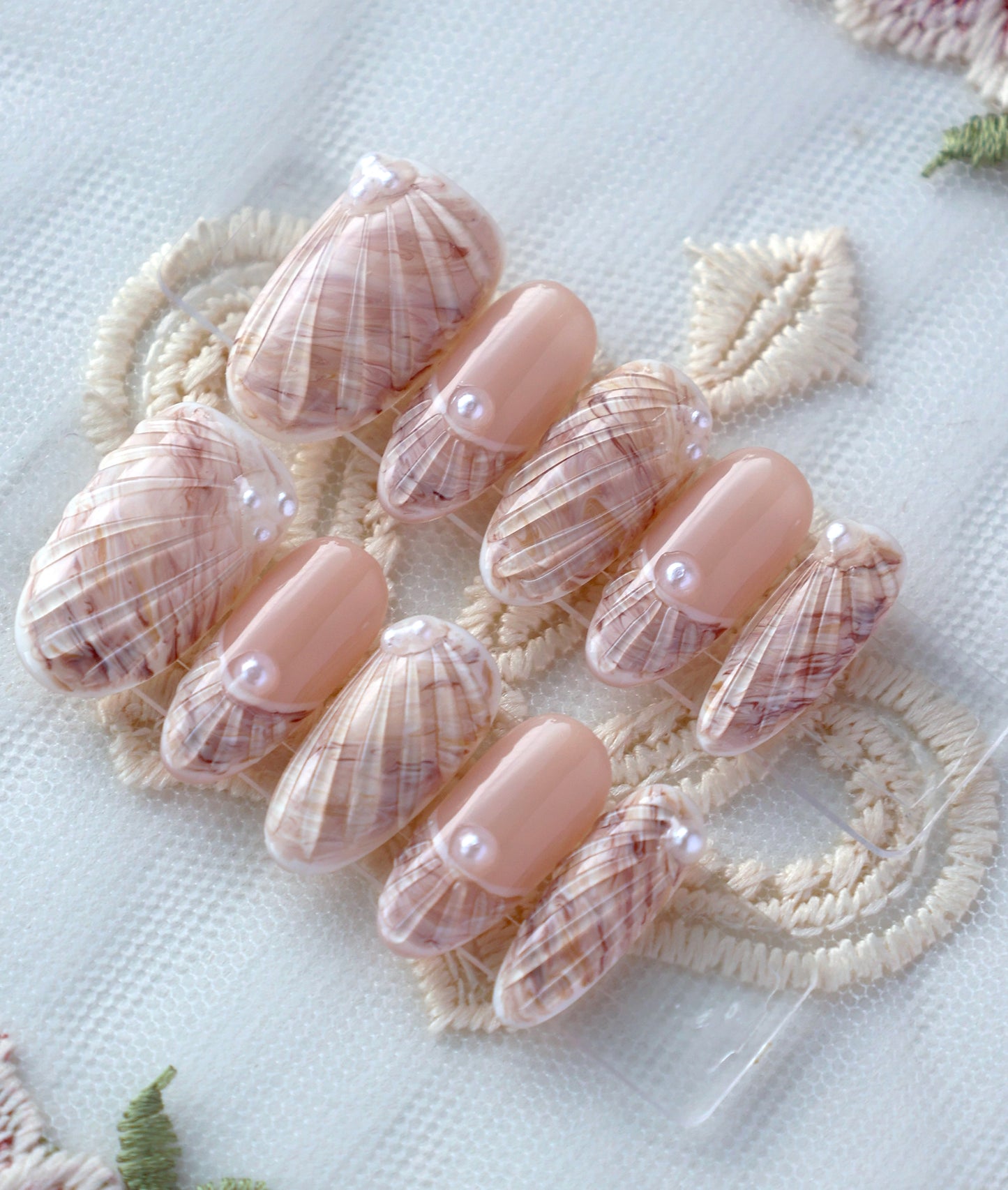 Seashells Only