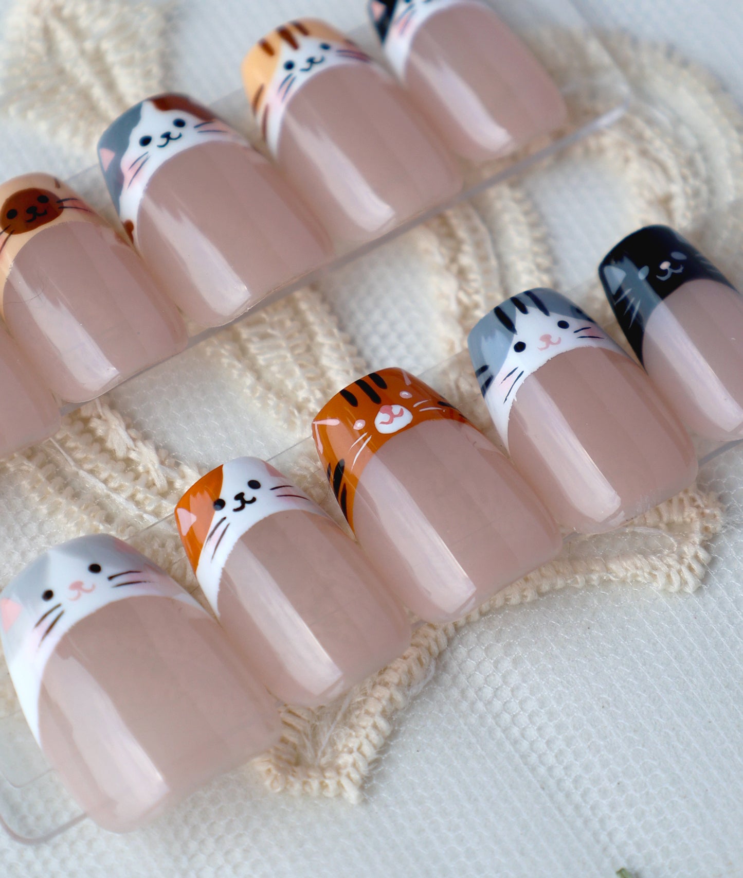 Cat Party