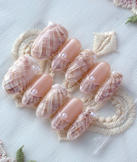 Seashells Only