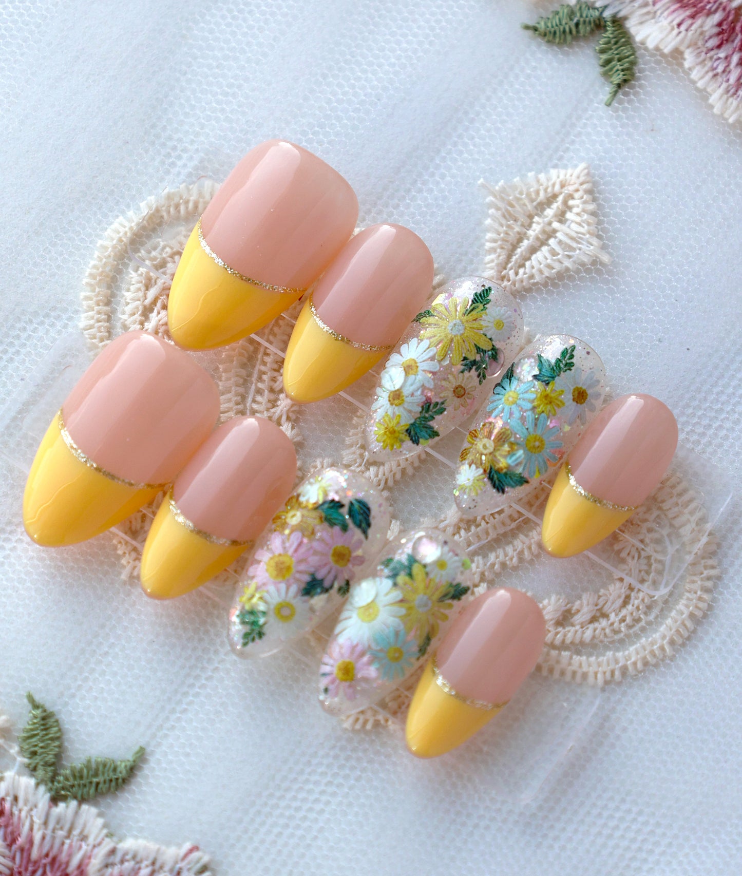 Daisy Garden