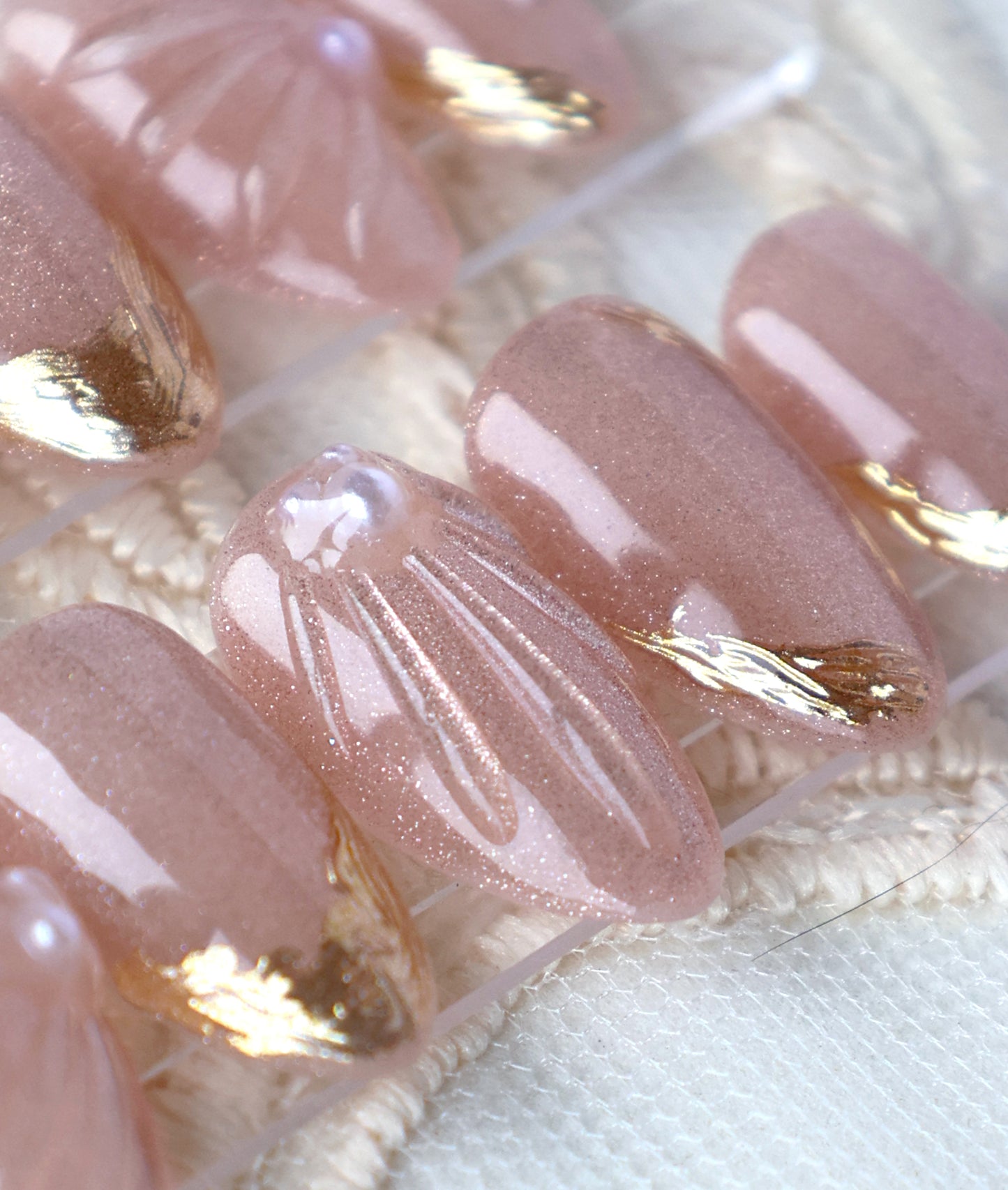 Rosy Seashell