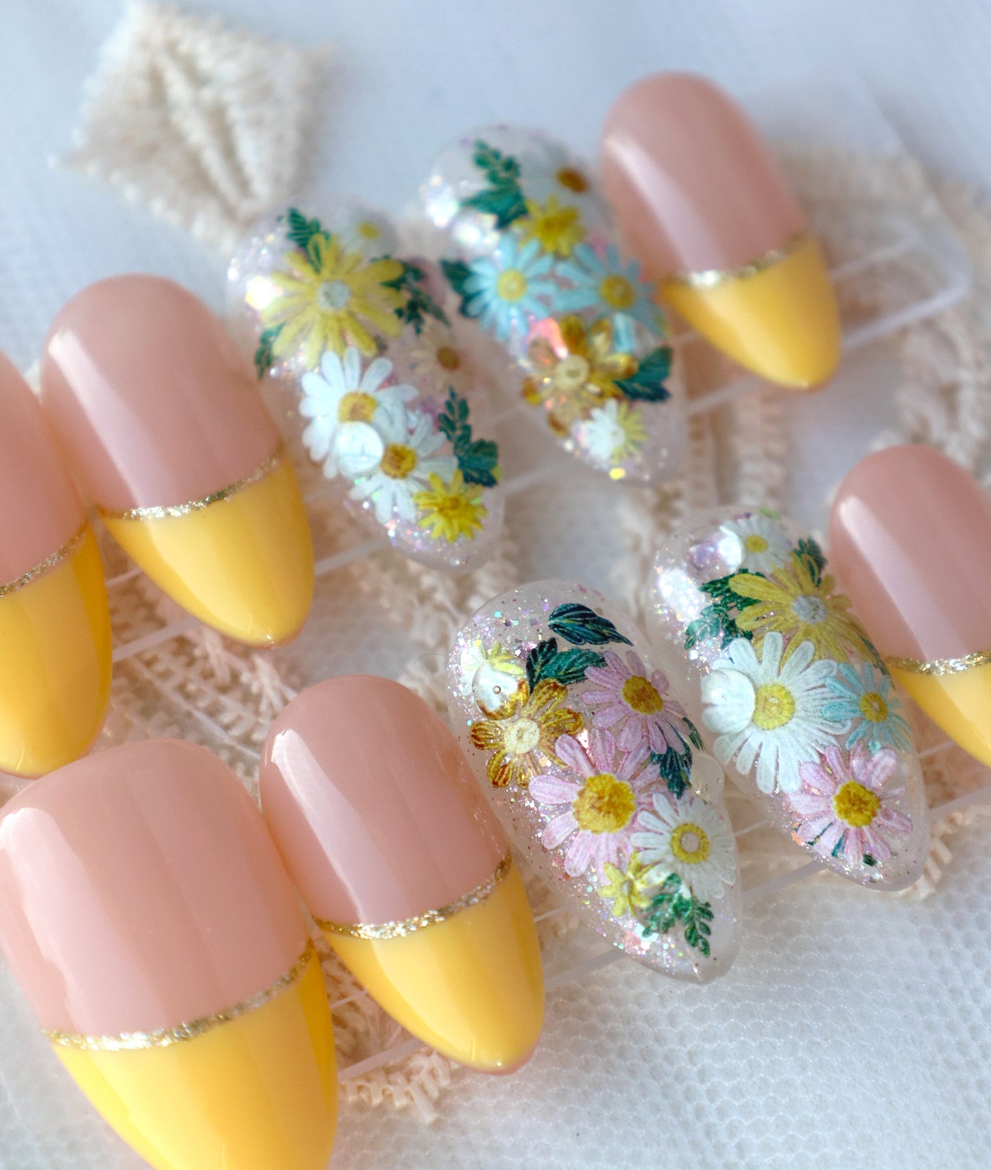 Daisy Garden