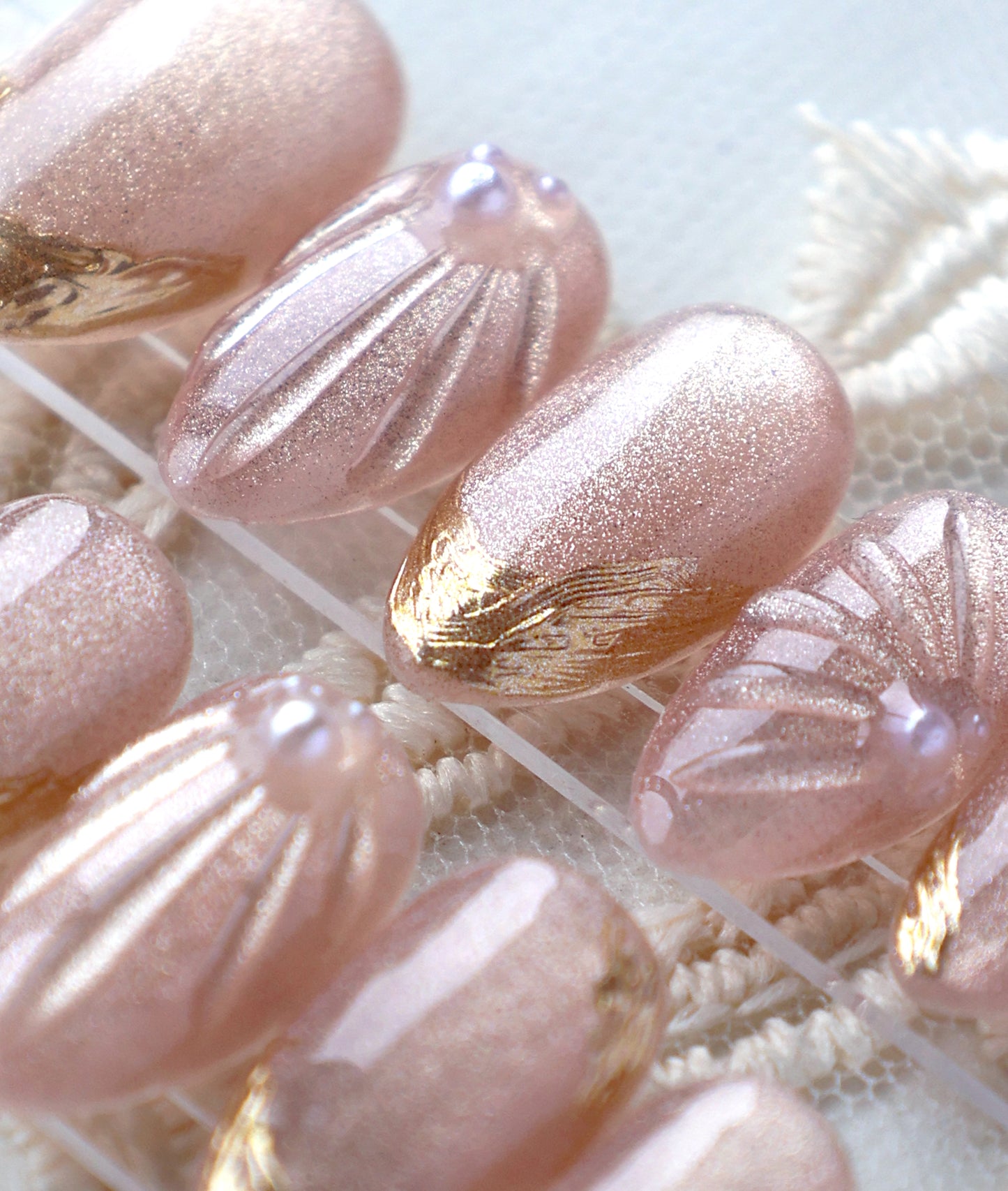 Rosy Seashell